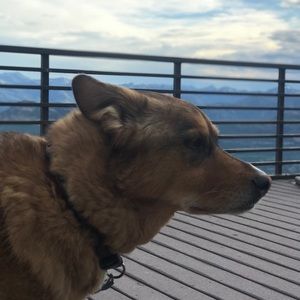 Meet your Posher, Kristin